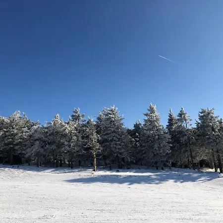 Lanovka-4 *